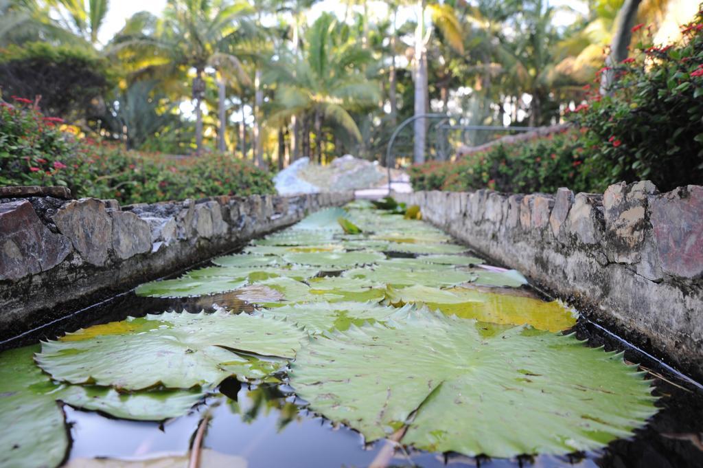 Le Domaine Des Pierres Hotel แซ็ง-ปีแยร์ ภายนอก รูปภาพ
